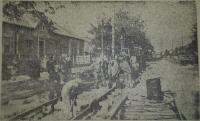 Imagine atasata: Fratelia 1953.JPG